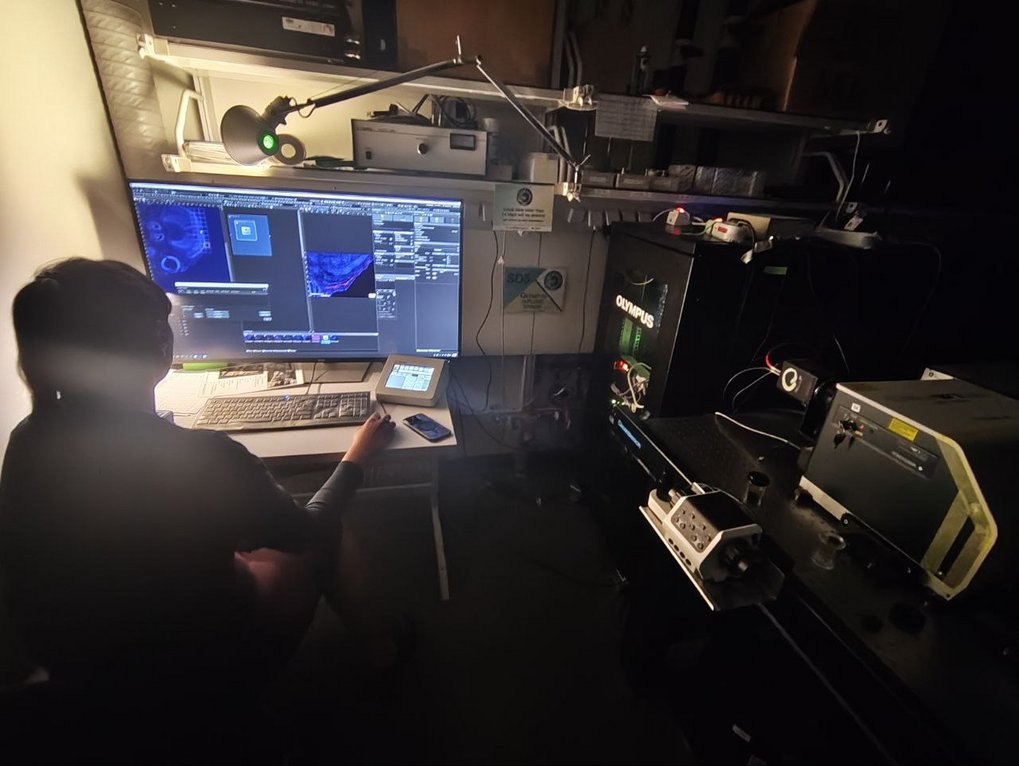 One of our scientists imaging her samples at a spining-disk confocal microscope One of our scientists imaging her samples at a spining-disk confocal microscope