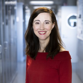 Meritxell Huch, CBG Director and IMPRS Dean